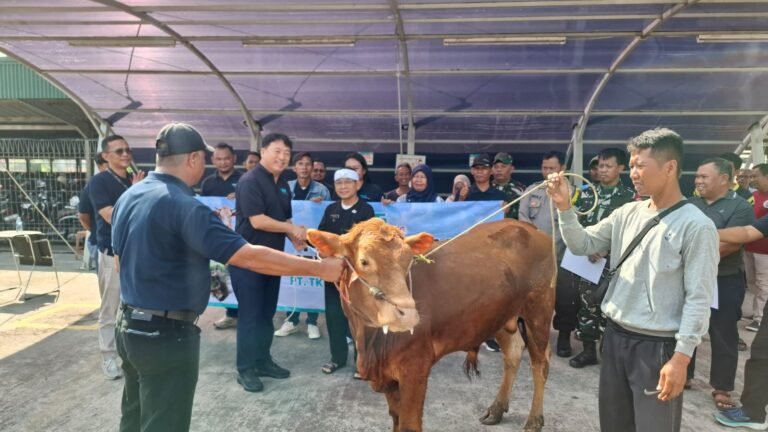 PT TKG Taekwang Indonesia Libatkan Serikat Pekerja dalam Penyaluran Kurban Idul Adha