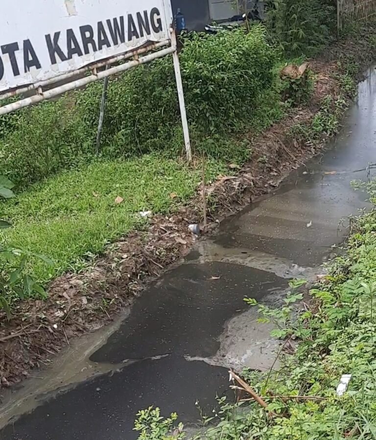 Limbah Hitam Cemari Irigasi Hutan Kota Karawang, Pemerhati Lingkungan Desak Penindakan Uii